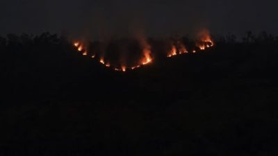 Kawasan Bromo Terbakar Sejak Senin Sore, Jalur Malang dan Lumajang Ditutup Total