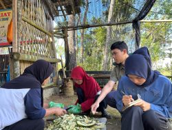 Program Maggot BSF PLN EPI Dorong Ekonomi Sirkular, Kurangi Sampah dan Tingkatkan Kesejahteraan Masyarakat