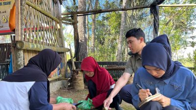 Program Maggot BSF PLN EPI Dorong Ekonomi Sirkular, Kurangi Sampah dan Tingkatkan Kesejahteraan Masyarakat