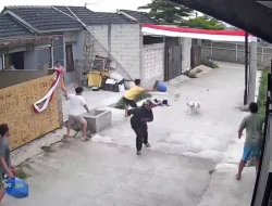 Anak Sembilan Tahun Terluka Diserang Anjing Pitbull di Bandung