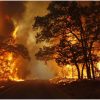Bukan Efek El Nino! Bareskrim Bongkar Bukti 72 Orang Sengaja Bakar Hutan