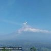 Semeru Lima Kali Erupsi dengan Tinggi Letusan hingga 700 Meter