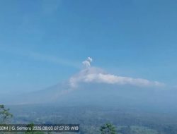 Semeru Lima Kali Erupsi dengan Tinggi Letusan hingga 700 Meter