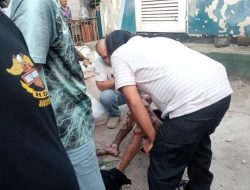 Pencuri Kabel Gardu PLN di Jakut Alami Luka Bakar akibat Tersengat Listrik saat Mencuri