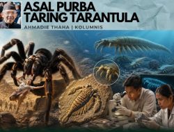 Asal Purba Taring Tarantula