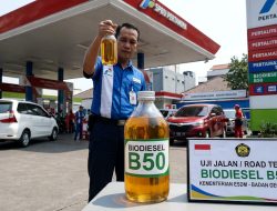 Kata Sopir L300 dan Pengangkut Ikan Soal B50: Mesin Tak Masalah, Jalur Menanjak Ada Beda