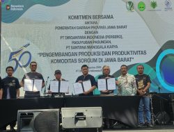 Golden Legacy, Global Horizon: PTDI Perkuat SDM, Kolaborasi, dan Kontribusi bagi Bangsa