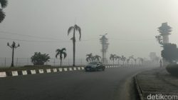 Penerbangan di Banjarmasin Sempat Lumpuh Gegara Asap Karhutla, Ini Daftar Pesawat Terdampak