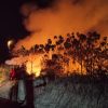 Polda Kalteng Segel Lokasi Karhutla: 13 Orang Tersangka, 4 Perusahaan Didalami!