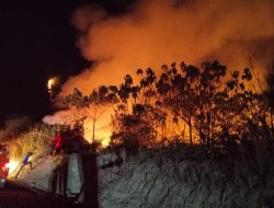 Polda Kalteng Segel Lokasi Karhutla: 13 Orang Tersangka, 4 Perusahaan Didalami!