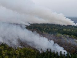 Bareskrim Gandeng PPATK Cium Aroma Korporasi di Balik Karhutla Sumatera-Kalimantan