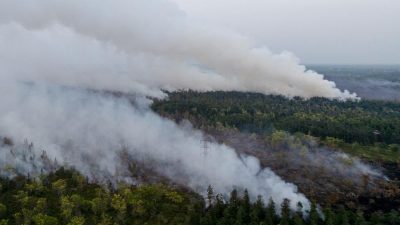 Bareskrim Gandeng PPATK Cium Aroma Korporasi di Balik Karhutla Sumatera-Kalimantan