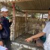 Ancam Sebar Video Syur dan Minta Rp 20 Juta, Koki Dapur MBG Tuban Dipolisikan Mantan