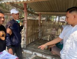 Ancam Sebar Video Syur dan Minta Rp 20 Juta, Koki Dapur MBG Tuban Dipolisikan Mantan