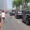 Geger Rombongan Alphard-Fortuner Pelat ZZ Terobos CFD Jakarta, Pemprov DKI Buka Suara!