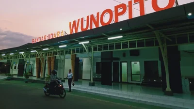 Bahaya Abu Gunung Lewotolok! Penutupan Bandara Wunopito NTT Diperpanjang