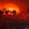 Karhutla Hantam Kawasan IKN, 100 Hektar Lahan Tahura Bukit Soeharto Terbakar
