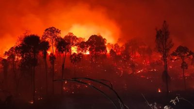 Karhutla Hantam Kawasan IKN, 100 Hektar Lahan Tahura Bukit Soeharto Terbakar