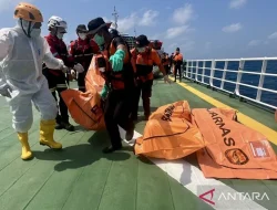 Penyelaman Hari Ke-10 Buahkan Hasil: Tim SAR Temukan 3 Jasad Korban KM Virgo Transport 8 Terjebak di Kapal, 117 Orang Masih Hilang