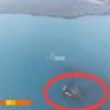 Muncul 2 Pulau Baru Usai Gunung Anak Krakatau Erupsi, Luasnya 30 Hektare Lebih!