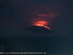 Gunung Ile Lewotolok Meletus 388 Kali Sehari, Lava Pijar Ancam Kampung Adat