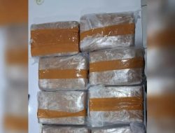 Polda Banten Gagalkan Peredaran 11 Kg Ganja dan Sabu Modus Ekspedisi