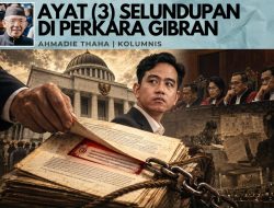 Ayat (3) Selundupan di Perkara Gibran
