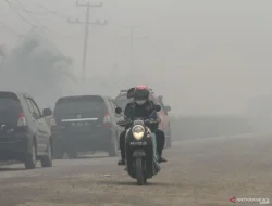 Ancam 13 Juta Jiwa, Ratusan Ribu Warga Kena ISPA Akibat Asap Karhutla!