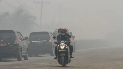 Ancam 13 Juta Jiwa, Ratusan Ribu Warga Kena ISPA Akibat Asap Karhutla!