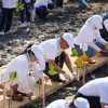Jaga Pesisir Pantura, Pelindo Dukung Pemulihan Ekosistem Mangrove di Demak
