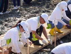 Jaga Pesisir Pantura, Pelindo Dukung Pemulihan Ekosistem Mangrove di Demak