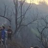 Terjebak Kepungan Api Karhutla Bromo: 4 Petugas Meninggal, 2 Luka Bakar Berat