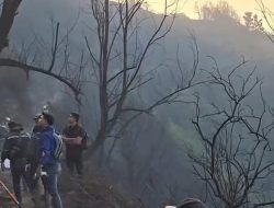 Terjebak Kepungan Api Karhutla Bromo: 4 Petugas Meninggal, 2 Luka Bakar Berat