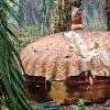 Benda Logam Misterius di Kotim Terkuak, BRIN Tegaskan Sampah Antariksa Jatuh Acak
