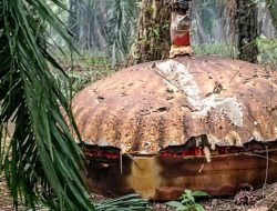 Benda Logam Misterius di Kotim Terkuak, BRIN Tegaskan Sampah Antariksa Jatuh Acak